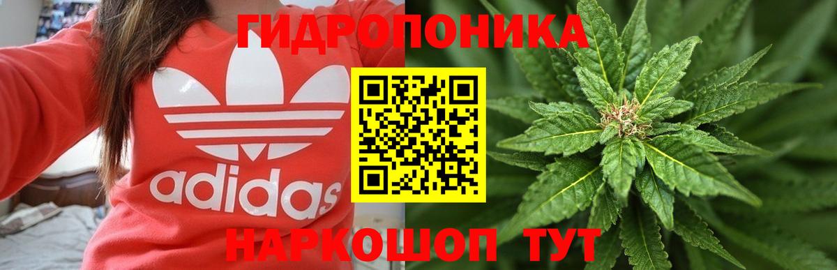 Марихуана Amnesia Камышин